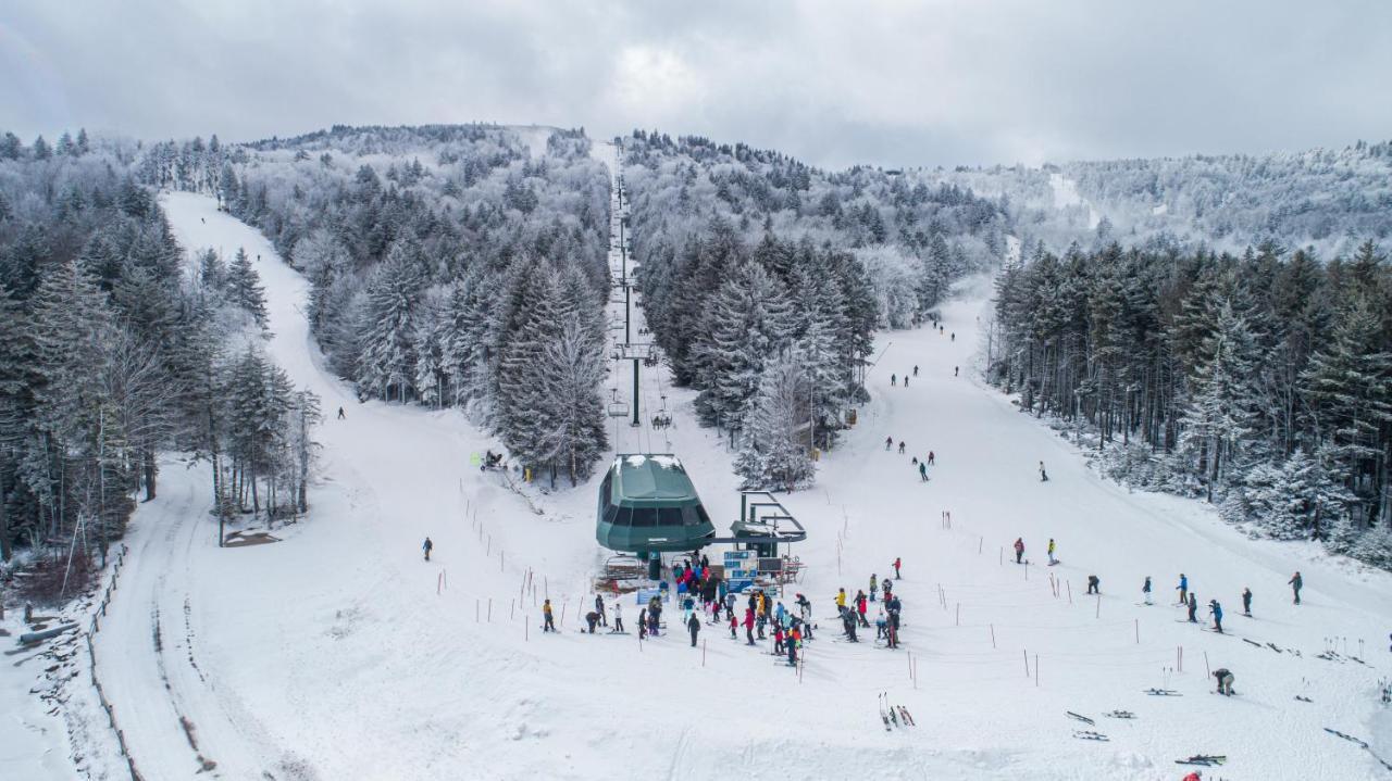 Stroll To Slopes, Village Area, Ski In-Out Mtlodge 304 สโนว์ชู ภายนอก รูปภาพ
